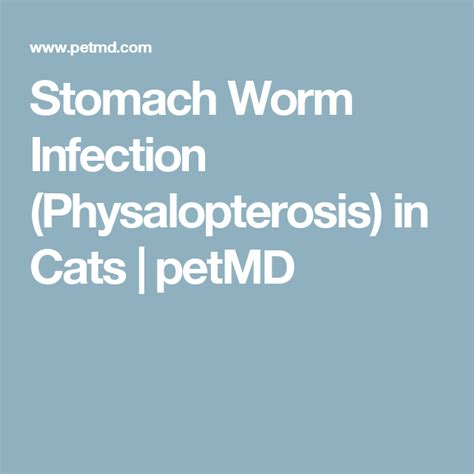 Stomach Worm Infection (Physalopterosis) in Cats | petMD | Cats, Stomach, Worms