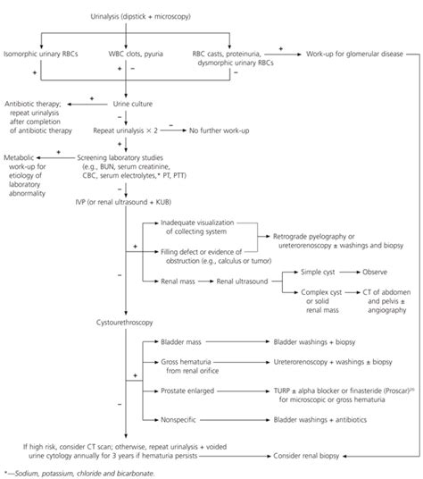 What Is The Cause Of Microscopic Hematuria - Ronald Hall Bruidstaart