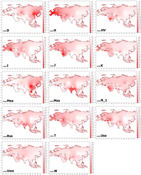 Geospatial map of mtDNA haplogroup frequencies in KPP ethnic groups and ...