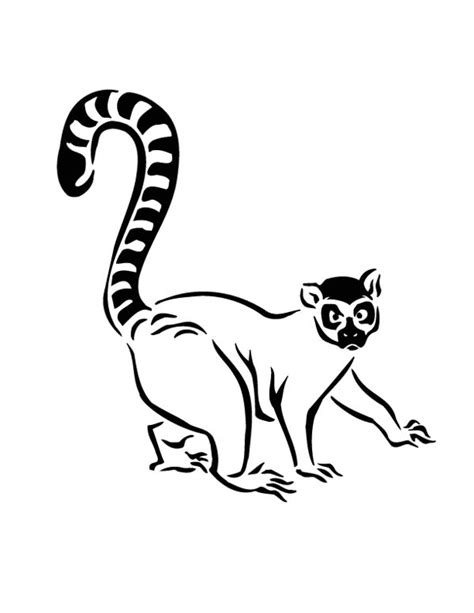 Lemur Drawing at GetDrawings | Free download