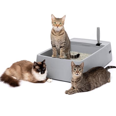 Buy PetSafe Multi-Cat Litter Box - Extra Large, Jumbo Litter Box for ...