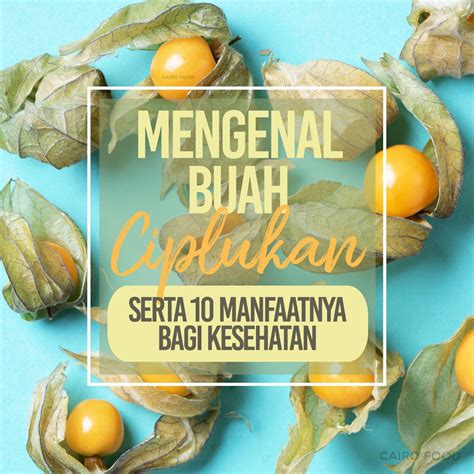 10 Manfaat Buah Ciplukan Bagi Kesehatan