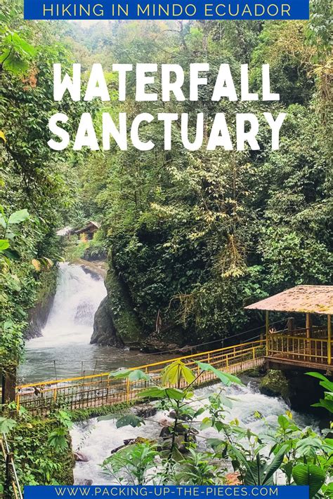 How To Visit The 7 Mindo Waterfalls In The Ecuador Cloud Forest ...