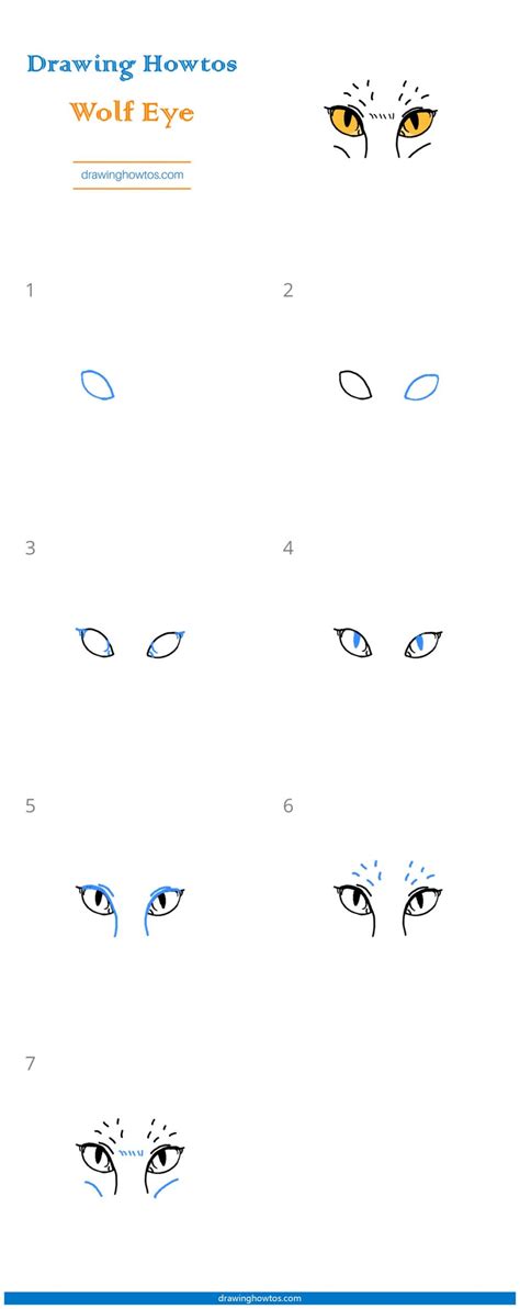 How to Draw Wolf Eyes - Step by Step Easy Drawing Guides - Drawing Howtos