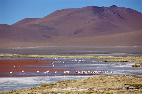 Laguna Colorada, Bolivia