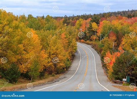 Beautiful Fall Colors of Acadia National Park Stock Image - Image of ...