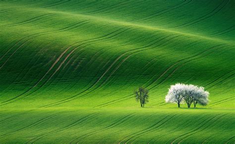 Green Hills Nature Scenery #Nature #Landscape #Nature #Beautiful #Spring #Green #Scenery #Trees ...