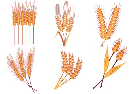 Wheat Stalk Free Vector Art - (551 Free Downloads)