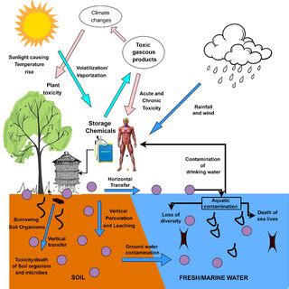 Acute and chronic health effects of toxic chemicals used for... | Download Scientific Diagram