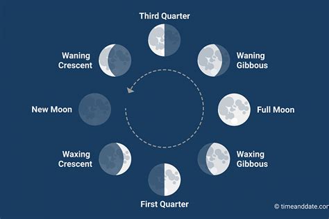 Phases of the Moon
