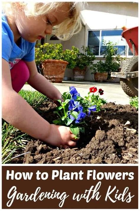 How to Plant Flowers: Organic Gardening with Kids