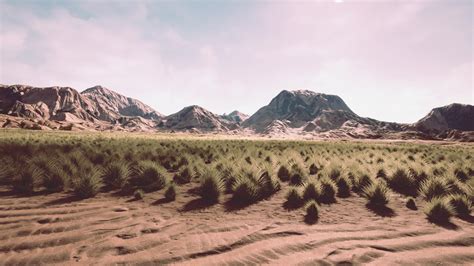 Flat desert with bush and grass 6295944 Stock Video at Vecteezy