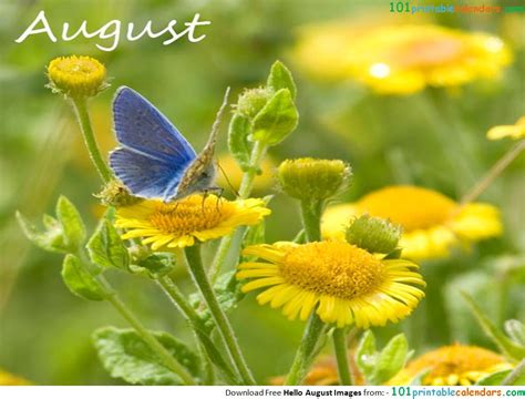 Month of August Flower Name | August month, Flower names, Hello august images