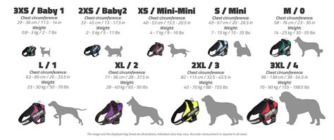 IDC® Powerharness – Size Chart - Julius-K9® dog harness