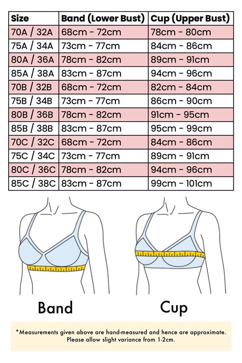 Premium Seamless Bra