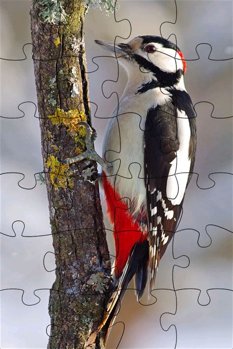 Puzzles & Jigsaws - the best free jigsaw puzzle game for adults and family fun on the App Store ...