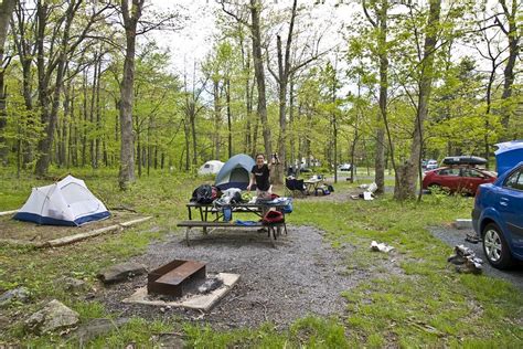 Shenandoah Camping: A Comprehensive Guide to All 5 Shenandoah ...