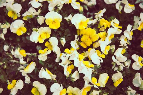 Floriade 2016 on Behance