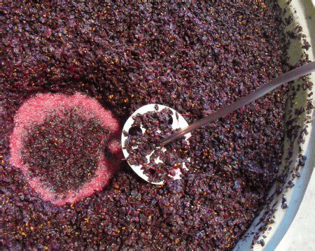 Why Is Stirring A Fermenting Wine So Important | E. C. KrausWine Making ...