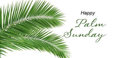 Happy Palm Sunday wishes - Imagez