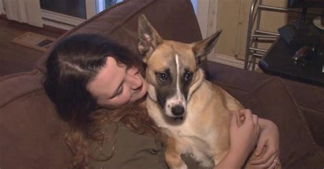 You Can Now Adopt Abandoned Dogs From Chernobyl - CBS Sacramento