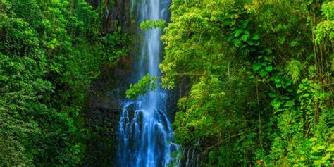 The 7 Best Waterfall Hikes in Maui | Travel and Blossom