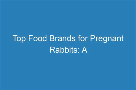 Top Food Brands For Pregnant Rabbits: A Comprehensive Guide