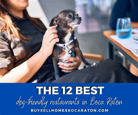 12 of the Best Dog-Friendly Restaurants in Boca Raton | Boca Raton FL ...