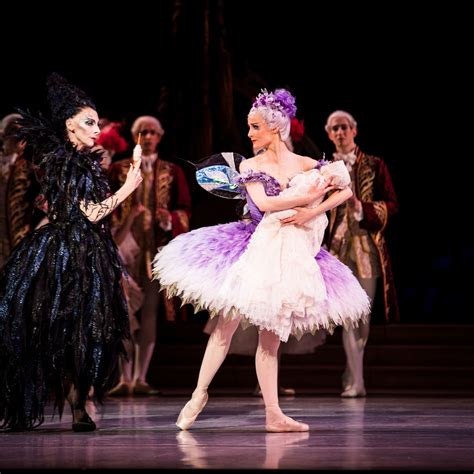 The Sleeping Beauty: a lavish baroque fairytale – in pictures | Sleeping beauty ballet ...