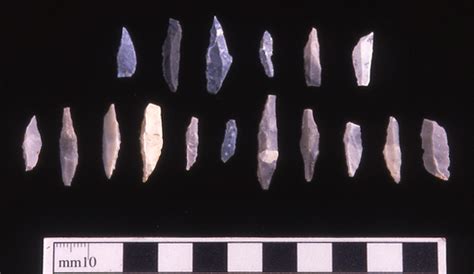 2.2 Mesolithic | The Scottish Archaeological Research Framework