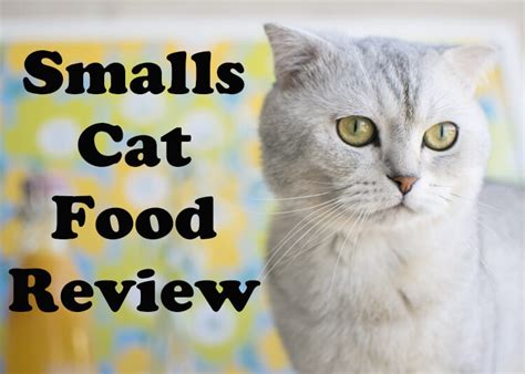 Smalls Cat Food Review 2023 - Purchased & Tested - Cat Mania