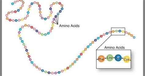 Future and Cosmos: Protein Folding Is 100 Times More Unsolved Than the ...