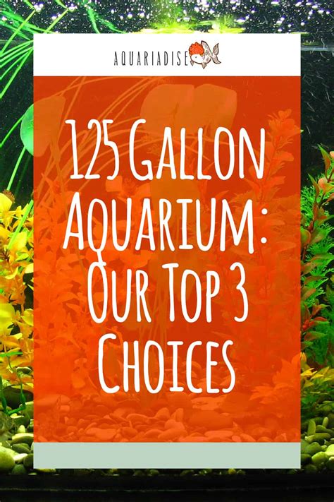 125 Gallon Aquarium: Our Top 3 Choices For The Money