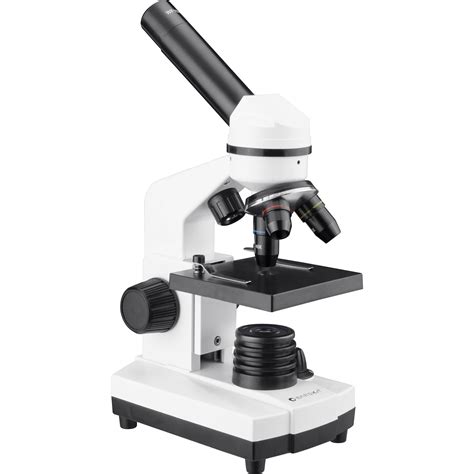 What Is A Compound Microscope