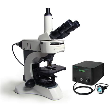 Upright Fluorescence Microscope | Polysciences, Inc.