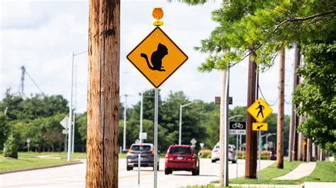 Franklin's ground squirrels get signs warning drivers in Springfield