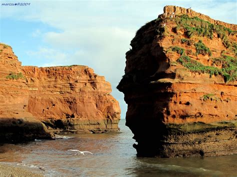 Ladram Bay - Photo "Ladram Bay" :: British Beaches