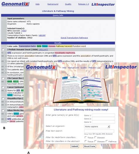Screenshot of the LitInspector user interface (A) and a results page... | Download Scientific ...