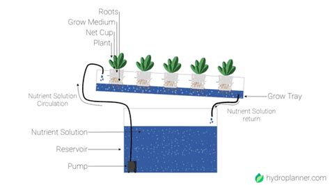 What is the Hydroponic Nutrient-Film-Technique (NFT)