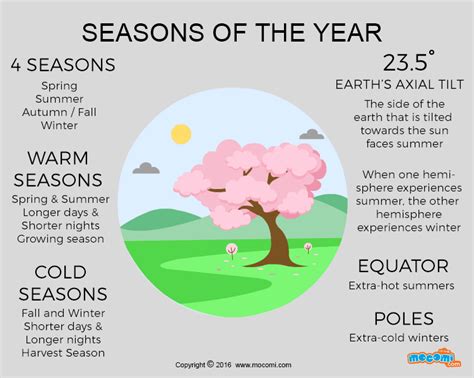 4 Seasons of the Year - Gifographic for Kids | Mocomi