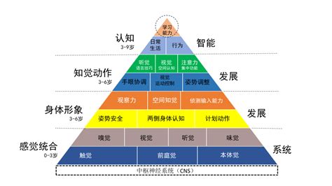 感统失调的孩子越来越多，原来是这三大原因导致！-感统100网