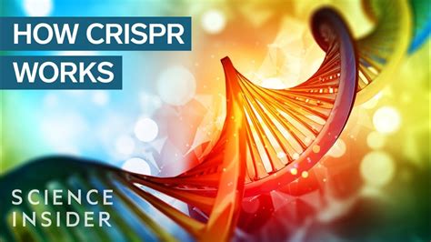 CRISPR DNA Editing System In 90 Seconds - YouTube