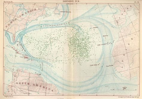 The Sargasso Sea Is Plenty Wide, and It's Growing - Atlas Obscura