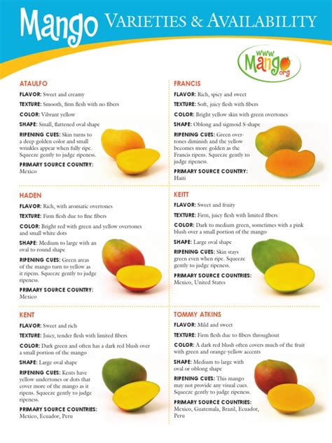 Mango_varieties_and_availability.pdf | Mango | Edible Fruits