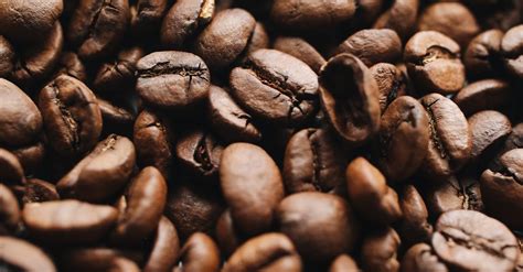 Coffee Beans in Close Up Photography · Free Stock Photo