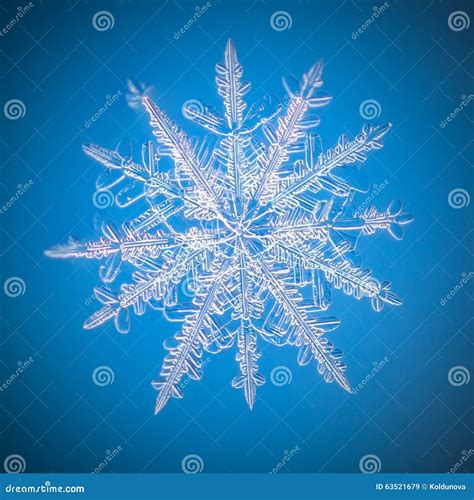 A Real Snowflake Macro Lies on a Blue Background Stock Image - Image of frost, flakes: 63521679