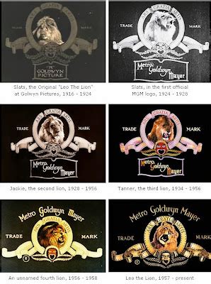 METRO GOLDWYN MAYER :'''NO LO SE!!!... ¿O SI?