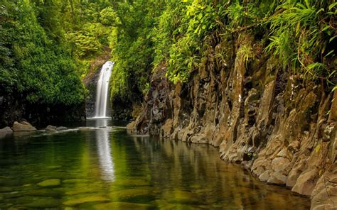 Download wallpapers Wainibau Waterfall, beautiful waterfall, rain forest, jungle, Taveuni Island ...