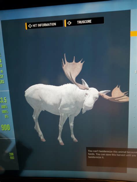 Albino moose is so cool : r/theHunter