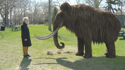 Clone a Woolly Mammoth? Scientists Are In It for the Long Haul - NBC News